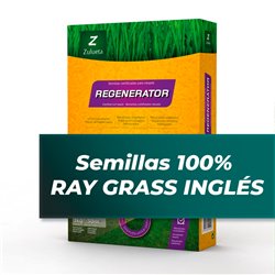 Semillas de Ray Grass Inglés - Zulueta